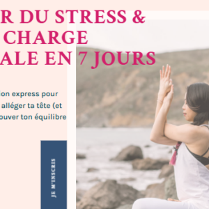 SORTIR DU STRESS ET DE LA CHARGE MENTALE EN 7 JOURS